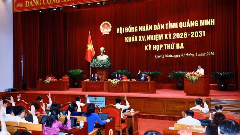 hd-3-819.jpg