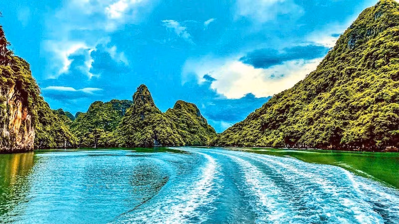 vinh-hl.jpg