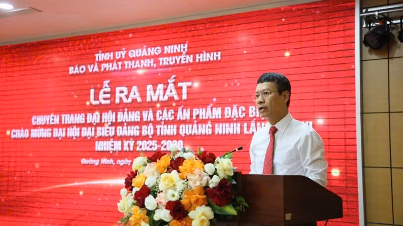 qtv-4.jpg