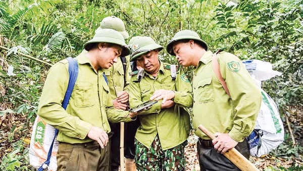 Nghệ An là địa phương có diện tích rừng lớn với gần một triệu héc-ta, việc ứng dụng công nghệ trong phòng, chống cháy rừng là rất cần thiết.
