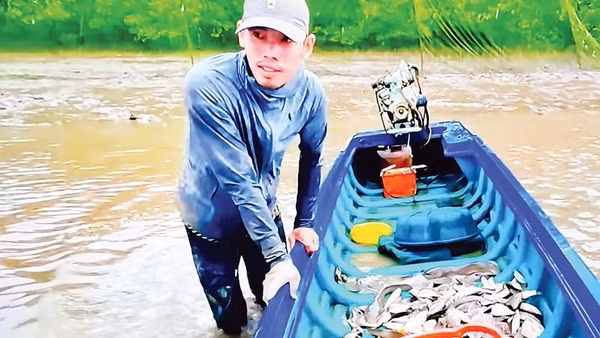 Một chuyến đi bắt cá nâu trở về sau con nước giựt ròng (Ảnh Nhân vật cung cấp)
