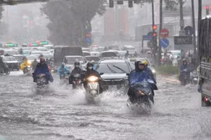 (Ảnh: THÀNH ĐẠT)