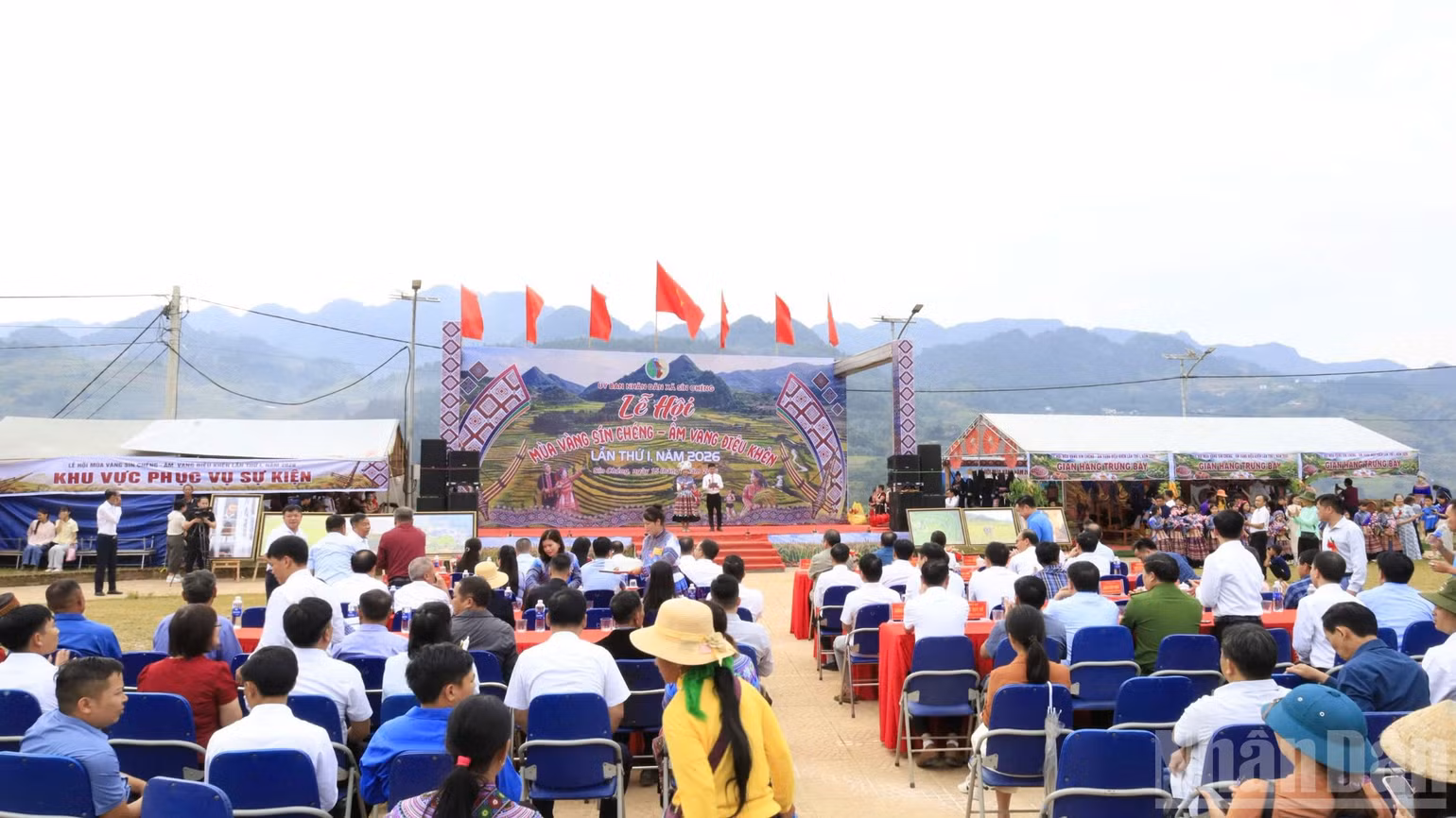 ndo_br_11-3554.jpg