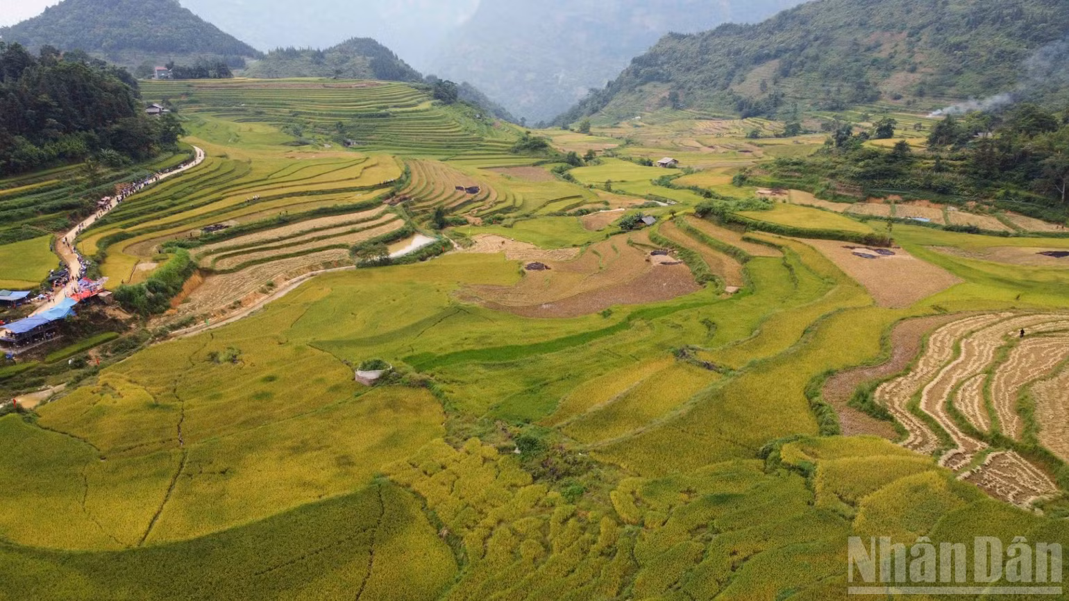 ndo_br_dji-0584-8197.jpg