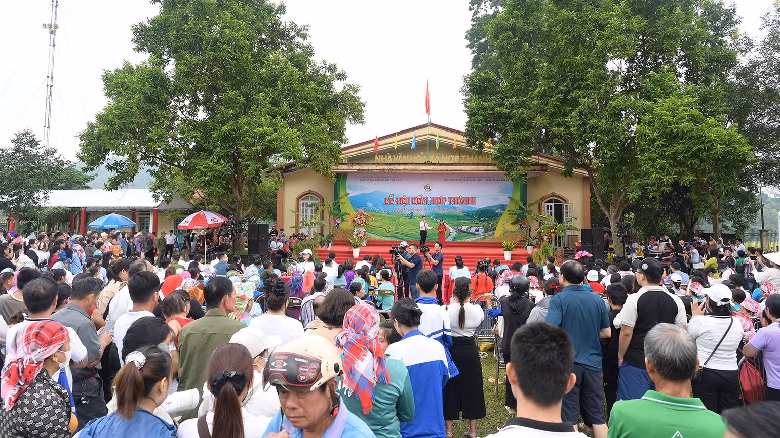 hai-7919-copy.jpg