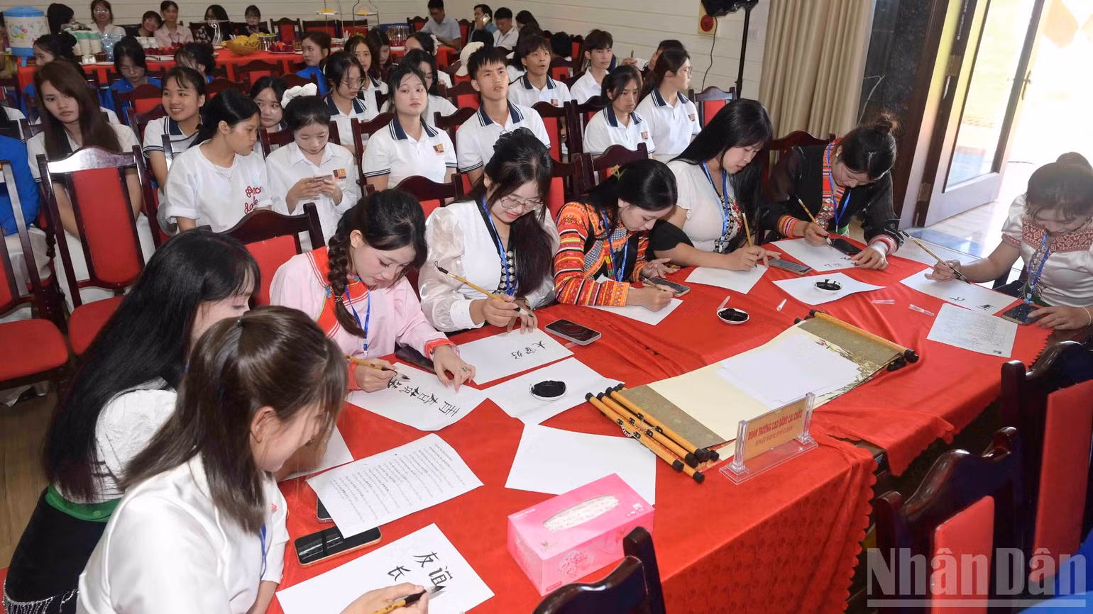 ndo_br_hai-8778.jpg