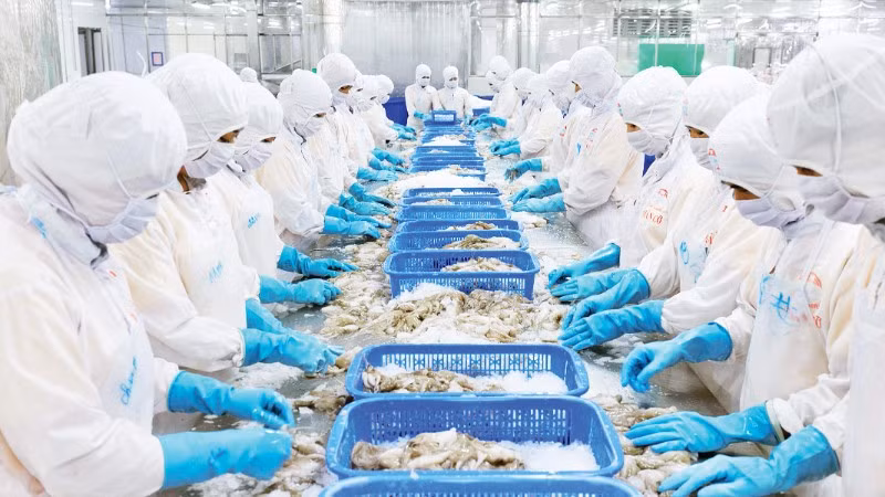 Chế biến thủy sản xuất khẩu tại Nhà máy của Công ty cổ phần chế biến thủy sản xuất, nhập khẩu Kiên Cường, tỉnh An Giang. (Ảnh PHÚ CƯỜNG)