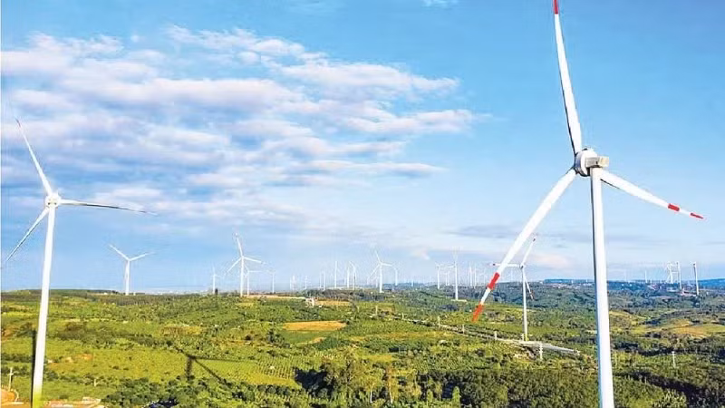 Cánh đồng điện gió Ea Nam, Đắk Lắk. (Ảnh: TRUNG NAM)