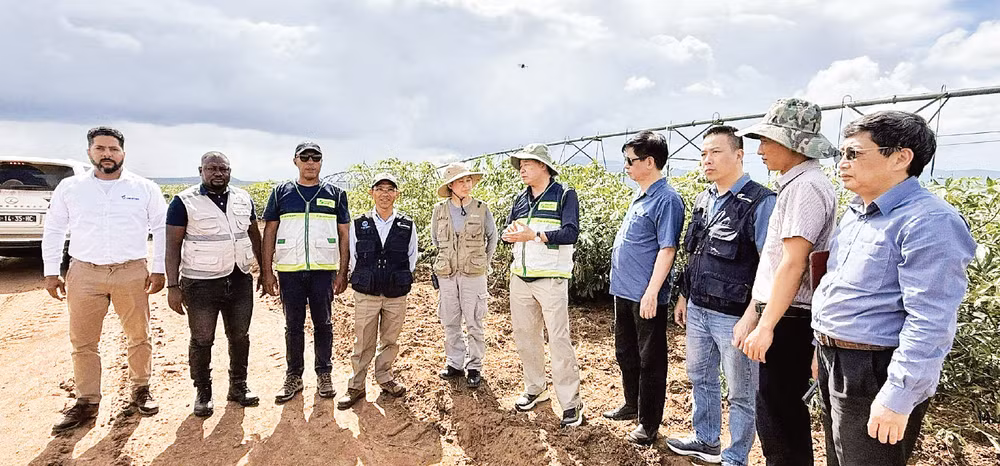 Đoàn công tác Bộ Nông nghiệp và Môi trường khảo sát sản xuất sắn tại Cộng hòa Angola. (Ảnh: TRUNG TÂM KHUYẾN NÔNG QUỐC GIA)