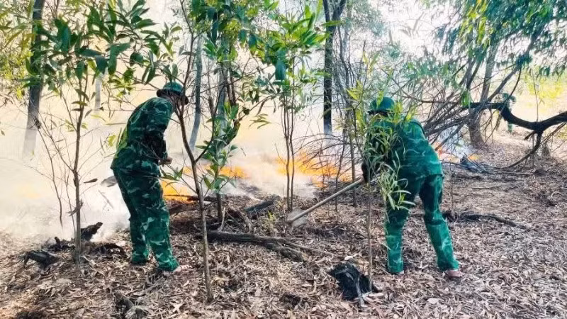 Bộ đội Biên phòng tham gia chữa cháy rừng tại tổ dân phố Bảo Ninh 3, phường Đồng Hới.