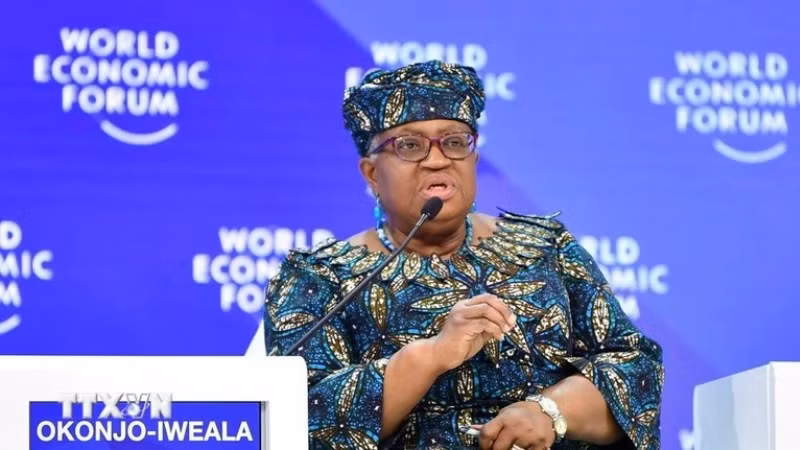 Tổng Giám đốc WTO Ngozi Okonjo-Iweala. (Ảnh: THX/TTXVN)