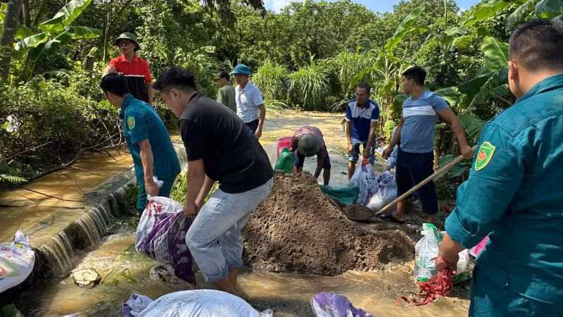 Chính quyền và nhân dân xã Thanh Trì đã khẩn trương triển khai công tác bảo đảm an toàn đê điều.