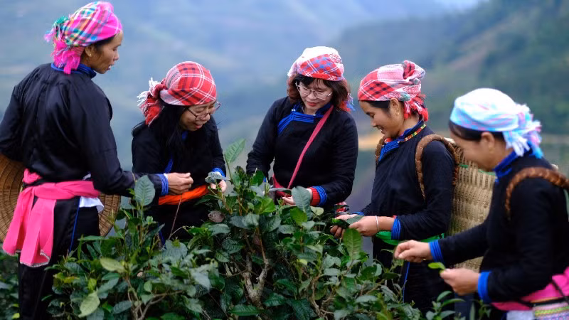 Du khách Việt Nam trải nghiệm văn hóa tại bản Liền (Lào Cai). (Ảnh: CAO HƯƠNG)