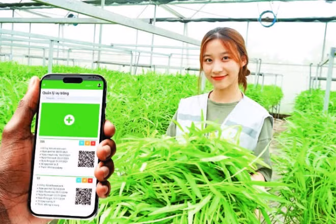 Giải pháp công nghệ của Công ty cổ phần Công nghệ cao Hachi Việt Nam giúp nông dân giảm chi phí, bảo vệ tài nguyên và giảm phát thải khí nhà kính. (Ảnh: BÍCH LIÊN)