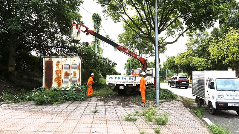 Việc bảo đảm nguồn điện liên tục cho các điểm được Công ty Điện lực Lào Cai đặt mức độ ưu tiên đặc biệt.
