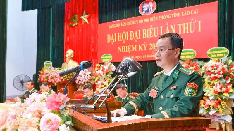 hai-1387-1702.jpg