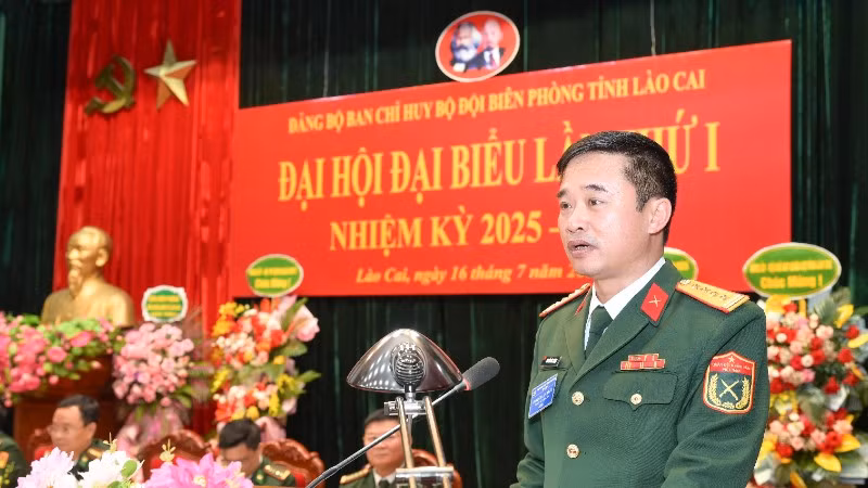 hai-1432-9071.jpg