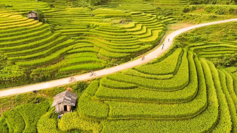 Cung đường Giải đua xe đạp địa hình “Mường Bo X-Rice vút bay trên sóng lúa vàng” uốn lượn qua những thửa ruộng bậc thang tươi đẹp.