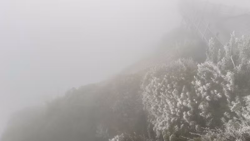 z7405255647032-1f953366baee8b6ce274af57290d1bd0-4113.jpg