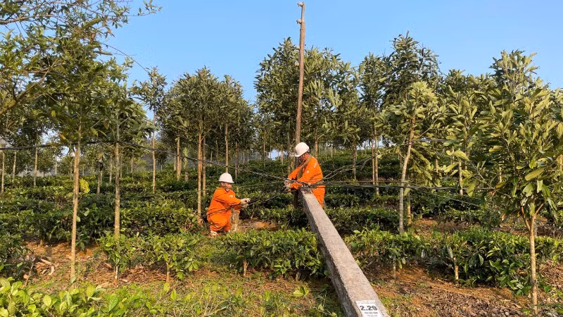 Khắc phục sự cố lưới điện do thiên tai gây ra.
