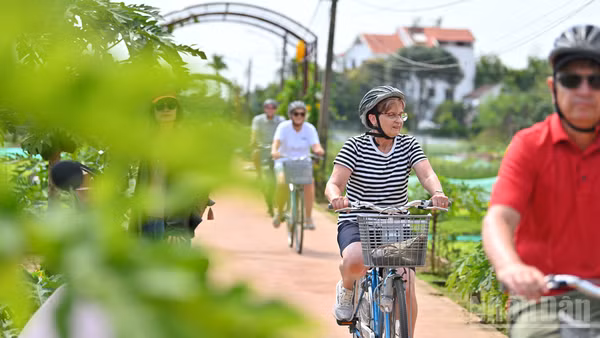 Du khách khám phá Hội An bằng xe đạp. (Ảnh: THẾ ĐẠI)