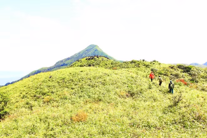 Chinh phục độ cao từ Pa Thiên lên đỉnh Voi Mẹp cao 1.700m.