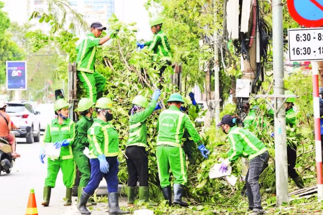 Thu gom rác thải và cành cây xanh trên tuyến đường Quang Trung, phường Thành Vinh.