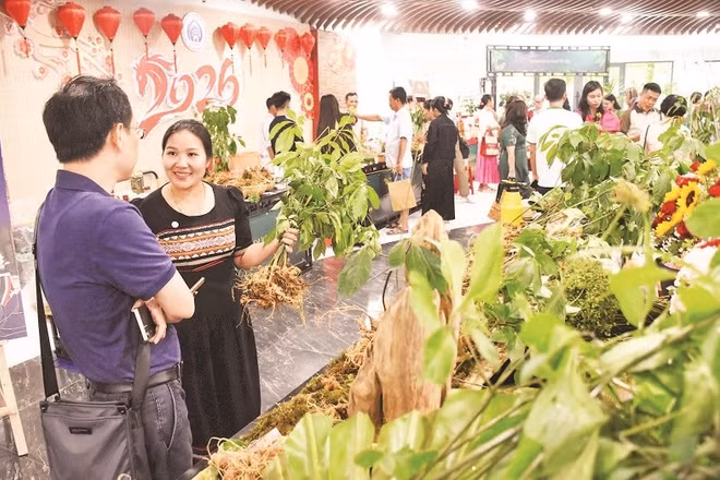 Người dân, du khách tham quan, mua sắm tại Lễ hội Sâm Ngọc Linh và Dược liệu quốc tế Đà Nẵng 2026.