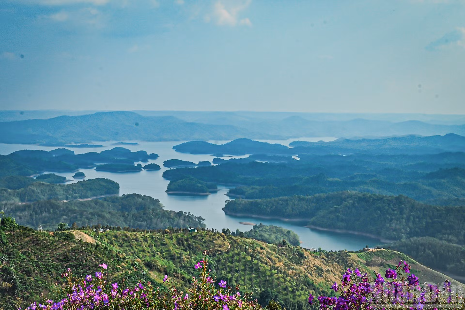 ndo_br_ta-dung-1.jpg