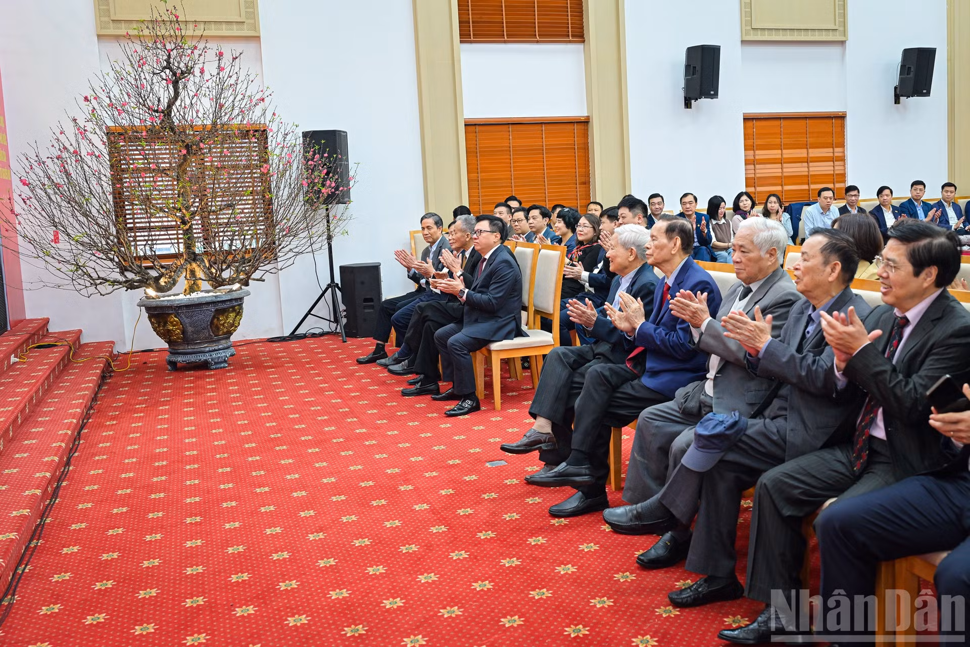 ndo_br_gap-mat-dau-xuan11.jpg