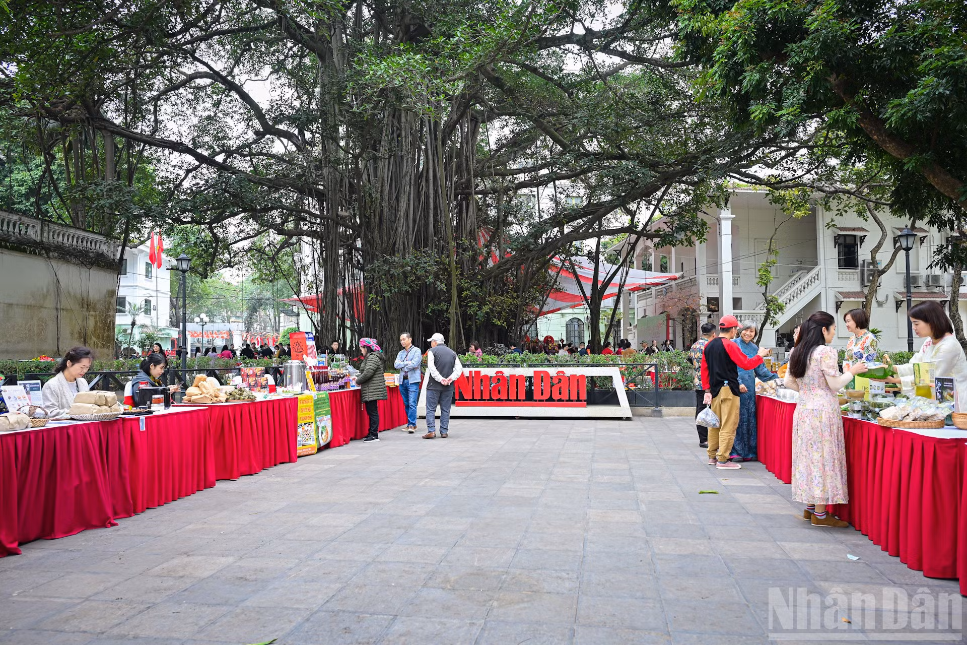 ndo_br_img-2770.jpg