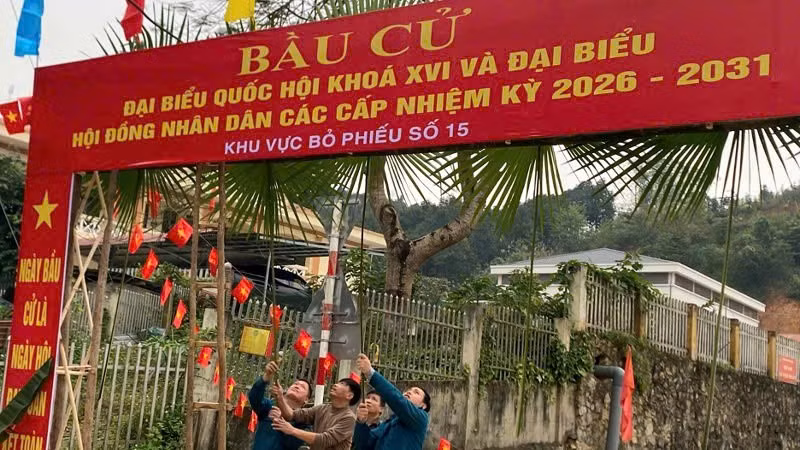 lc2.jpg
