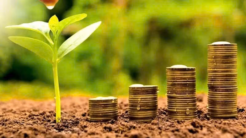 Tuần giao dịch giữa tháng 11 tiếp tục ghi nhận nhiều doanh nghiệp duy trì chính sách chia cổ tức bằng tiền mặt ở mức cao. (Ảnh minh họa)