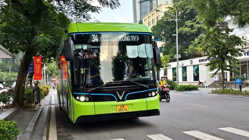 trien-lam.jpg