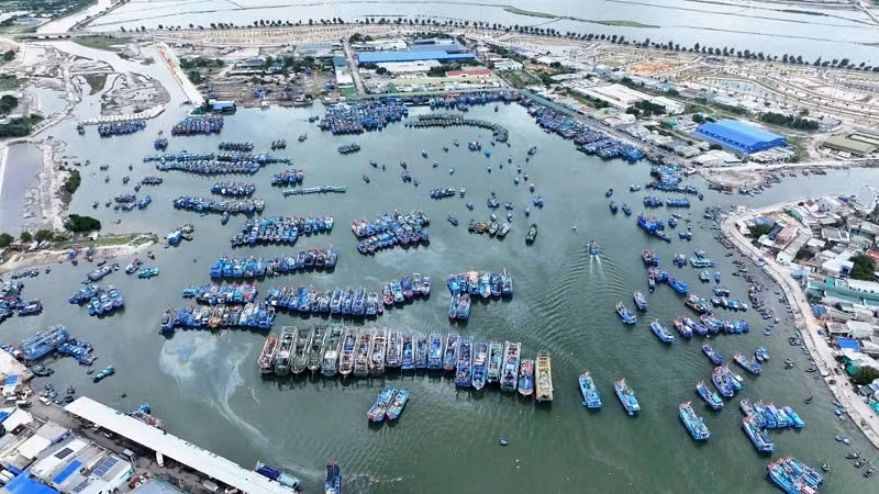 Một góc Cảng Cà Ná. (Ảnh: PHƯƠNG THẢO)