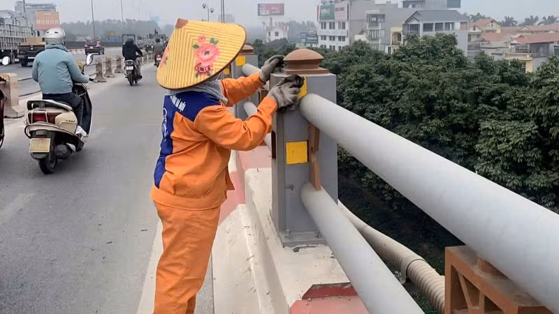 d.jpg