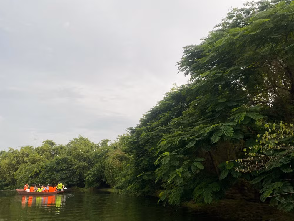 Khu du lịch sinh thái Đảo Cò (Hải Phòng).