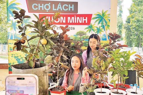 Bà Trịnh Như Ngọc bán sản phẩm cây giống trên sàn thương mại điện tử mang lại hiệu quả cao.