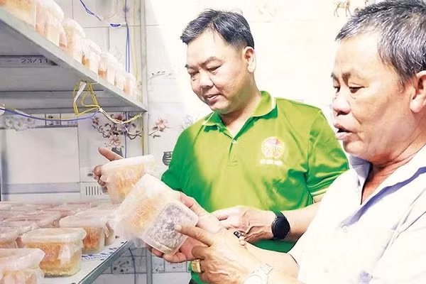 Nông dân tham quan cơ sở sản xuất nấm đông trùng hạ thảo Phương Nghi, xã Tân Tiến, thành phố Đồng Nai.
