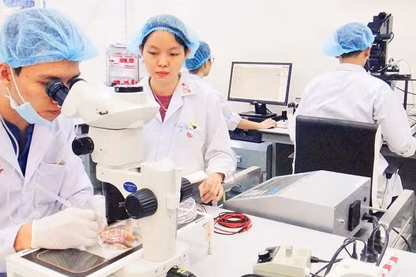 Hoạt động nghiên cứu khoa học tại Đại học quốc gia Thành phố Hồ Chí Minh (Ảnh CAO TÂN)