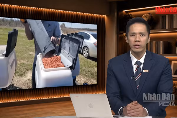 [Video] Tiêu điểm 19/10: Vì sao Mỹ nối lại nhập khẩu phân bón Belarus?