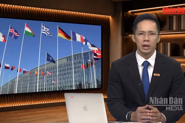 [Video] Tiêu điểm 08/08: Khi tổng thống Mỹ D. Trump muốn Châu Âu chia sẻ chi phí an ninh