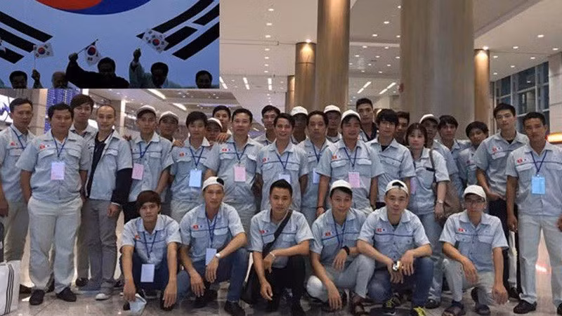 Lao động đi làm việc ở Hàn Quốc. (Ảnh minh họa: Colab) 