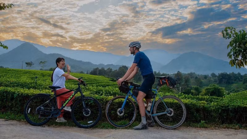 Khách quốc tế đạp xe, trải nghiệm vùng chè tại Thái Nguyên. (Ảnh: BÙI MAI)