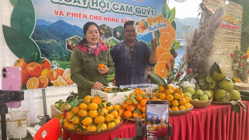 Livestream bán hàng cam, quýt tại Ngày hội. (Ảnh: DUY KHÁNH)