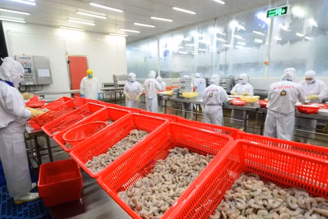 Nghiên cứu chọn tạo giống góp phần quan trọng vào tăng trưởng xuất khẩu thủy sản. 