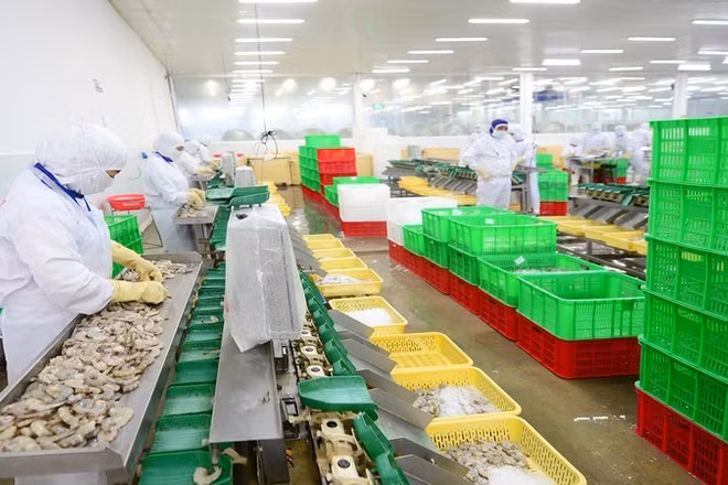 Xuất khẩu thủy sản sang EU tăng mạnh nhờ EVFTA.