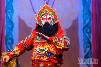 Ra đời trên mảnh đất có truyền thống thượng võ nên nghệ thuật tuồng Bình Định mang nét đặc trưng riêng, khác biệt so với tuồng cung đình Huế, tuồng Bắc hay hát bội Thành phố Hồ Chí Minh.