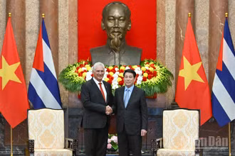 Chủ tịch nước Lương Cường và Bí thư Thứ nhất, Chủ tịch nước Cộng hòa Cuba Miguel Diaz-Canel Bermudez.