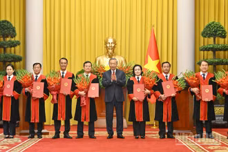 Tổng Bí thư, Chủ tịch nước Tô Lâm trao Quyết định bổ nhiệm chức danh Thẩm phán Tòa án nhân dân tối cao cho các đồng chí được bổ nhiệm.